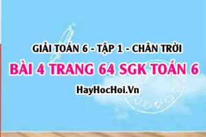 Giải bài 4 trang 64 Toán 6 Tập 1 SGK Chân trời sáng tạo